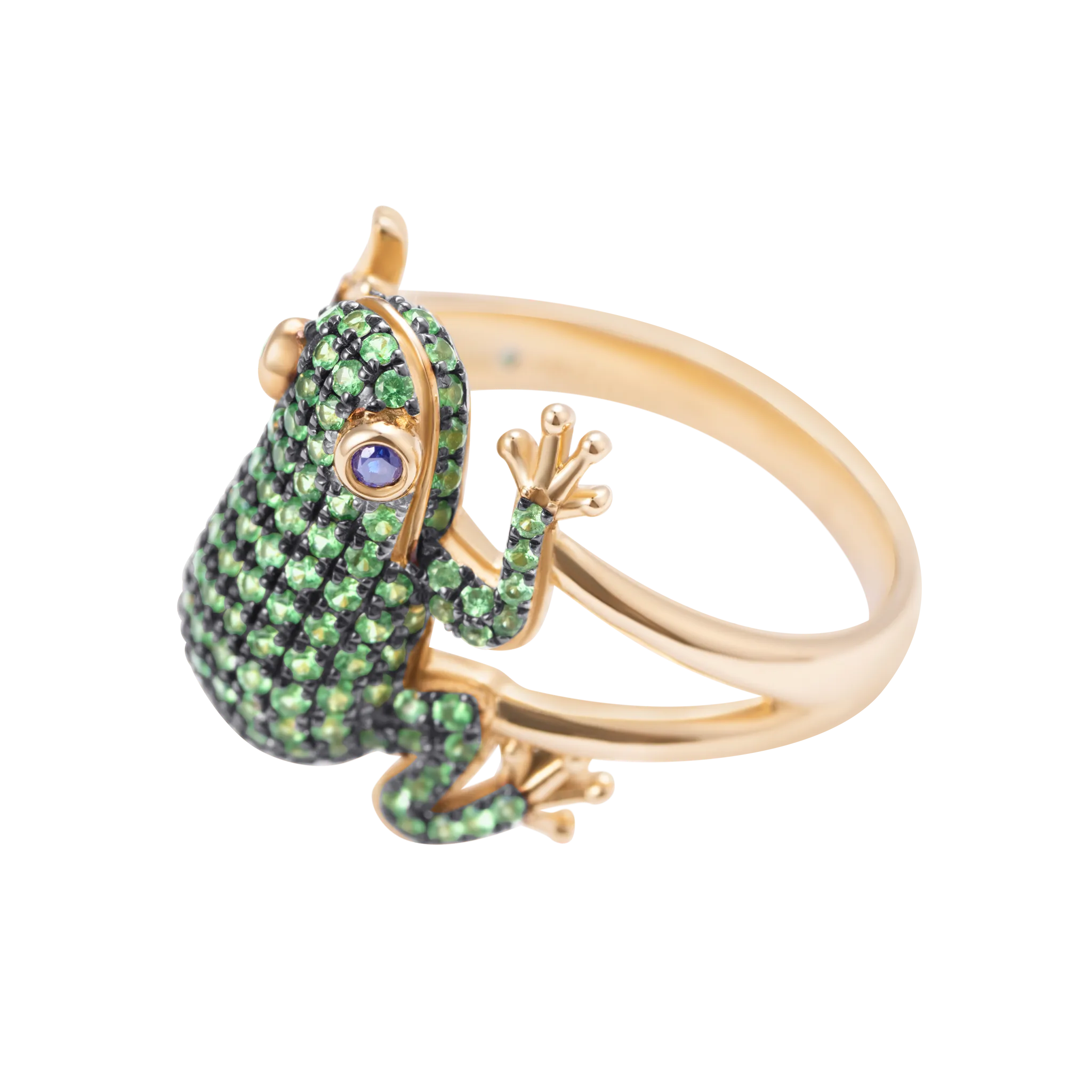 Amazonica Frog Tsavorite And Black Gold Ring