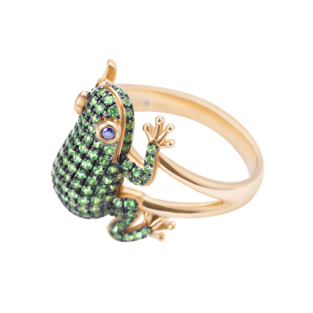 Amazonica Frog Tsavorite And Black Gold Ring