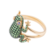 Amazonica Frog Tsavorite And Black Gold Ring