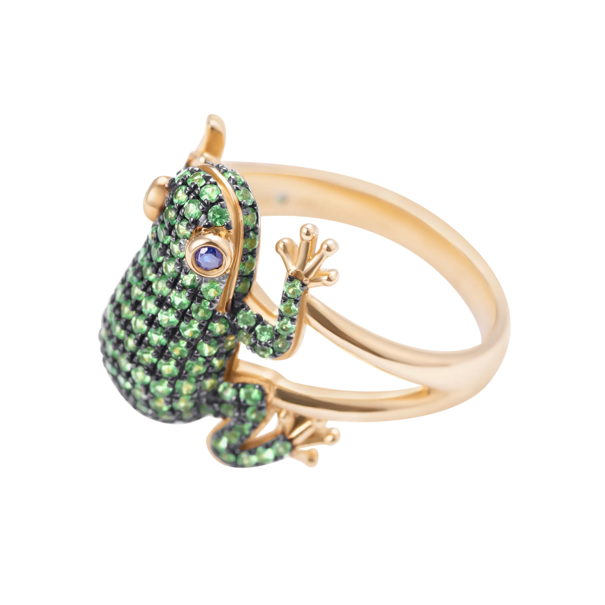 Amazonica Frog Tsavorite And Black Gold Ring