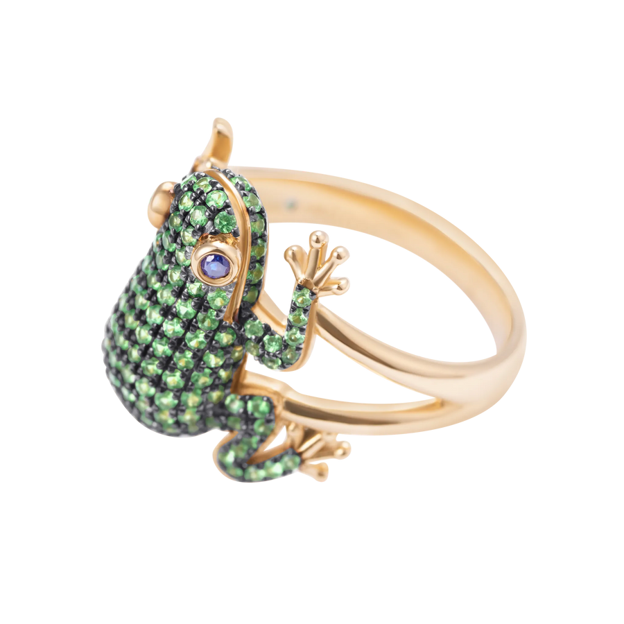 Amazonica Frog Tsavorite And Black Gold Ring