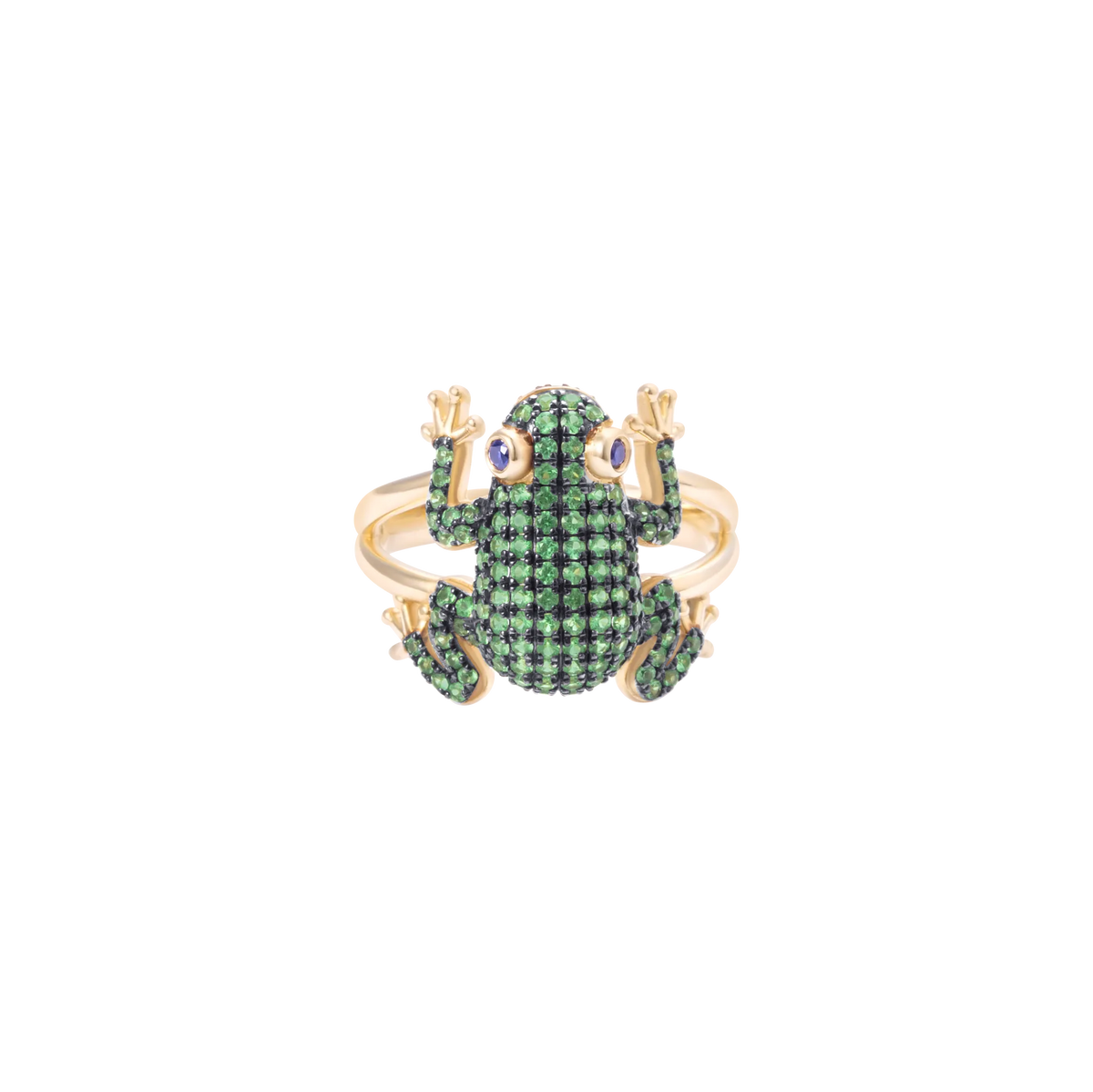 Amazonica Frog Tsavorite And Black Gold Ring